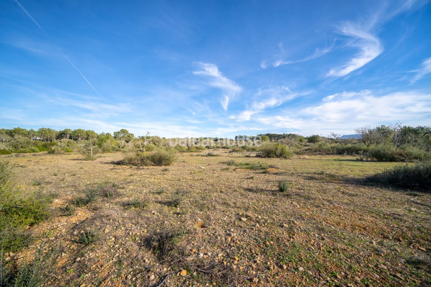 Large plot in Algaida surrounded by nature in an exceptional central Mallorca location.
