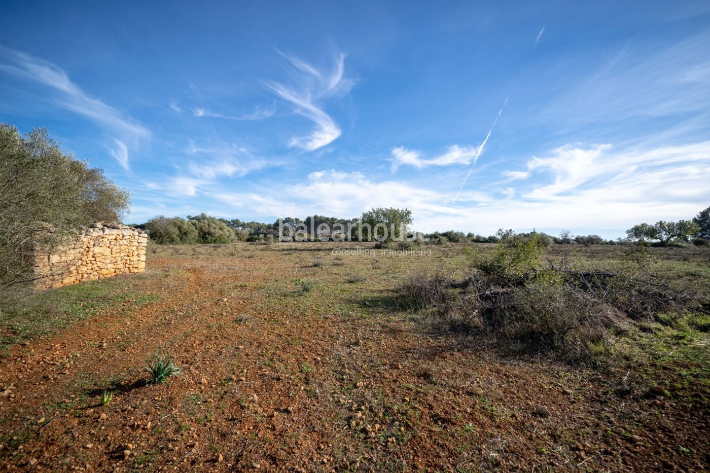 Gran solar en Algaida rodeado de naturaleza en una inmejorable ubicación del centro de Mallorca.