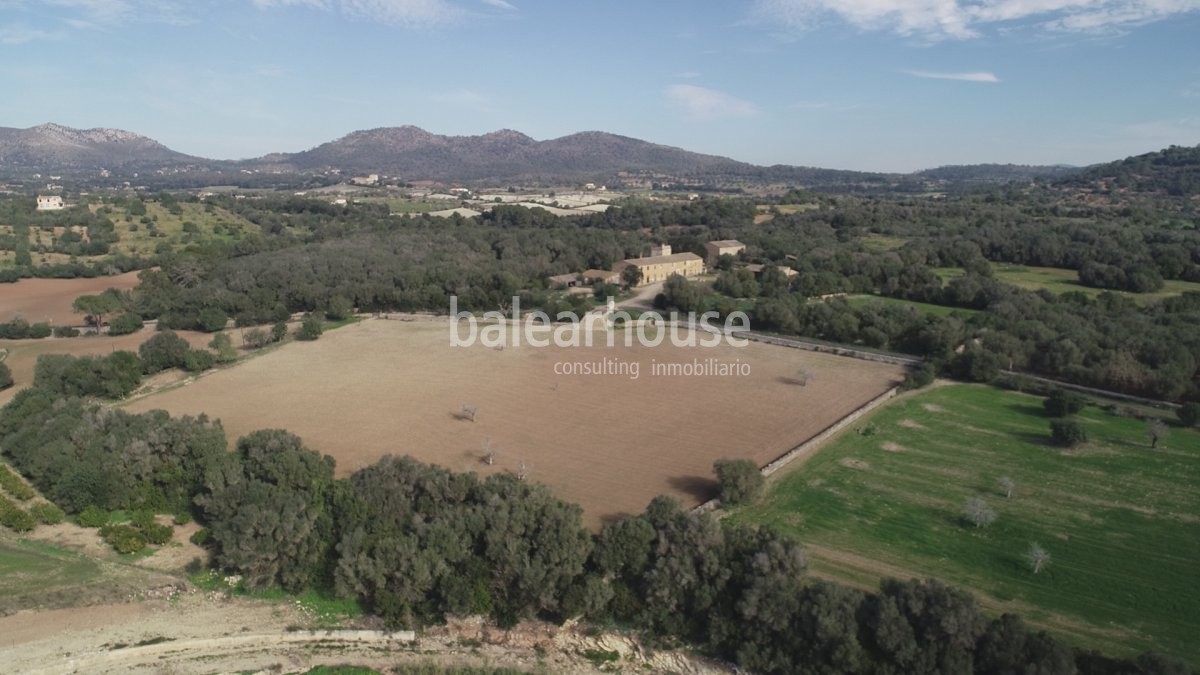 Espectacular terreno con edificación y licencia para nueva construcción en un bello entorno natural