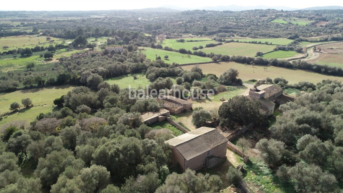 Espectacular terreno con edificación y licencia para nueva construcción en un bello entorno natural