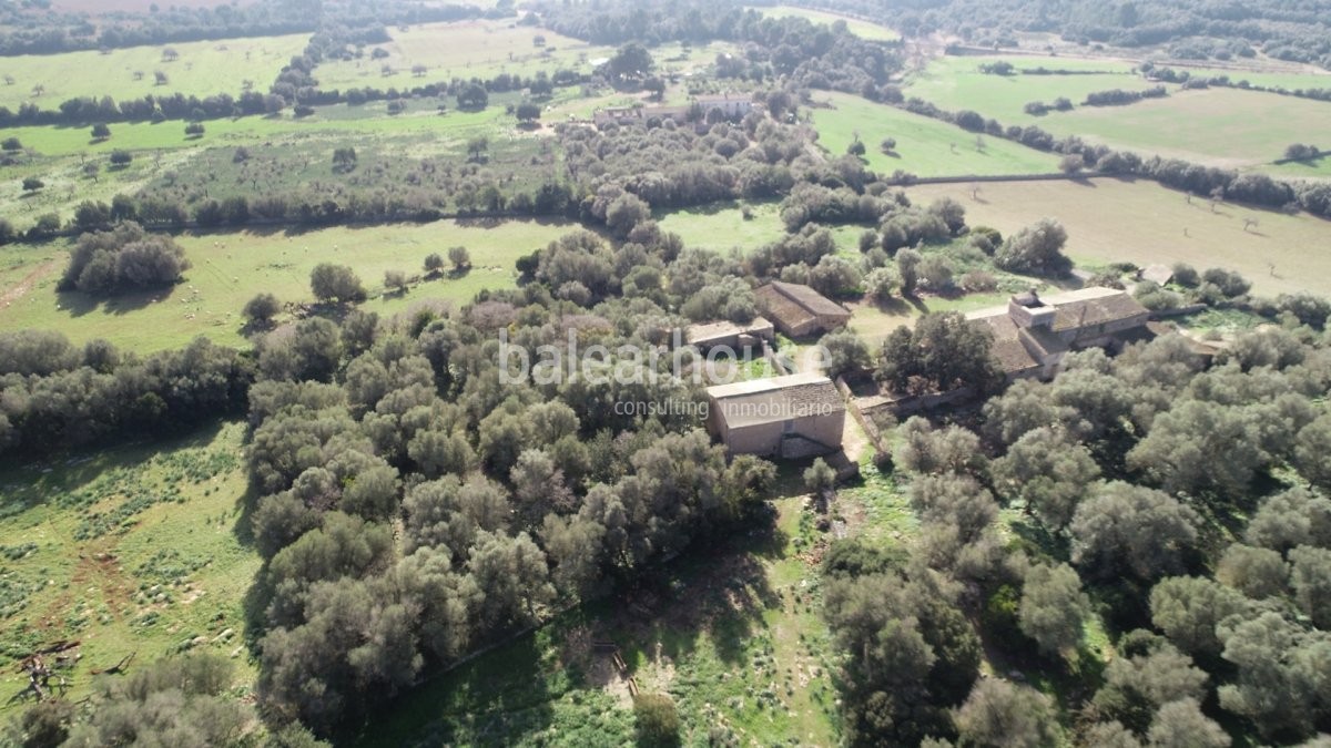 Espectacular terreno con edificación y licencia para nueva construcción en un bello entorno natural