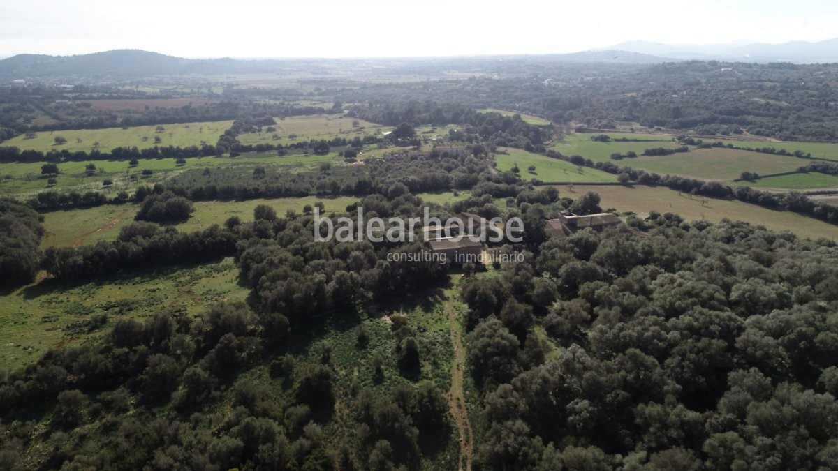 Espectacular terreno con edificación y licencia para nueva construcción en un bello entorno natural