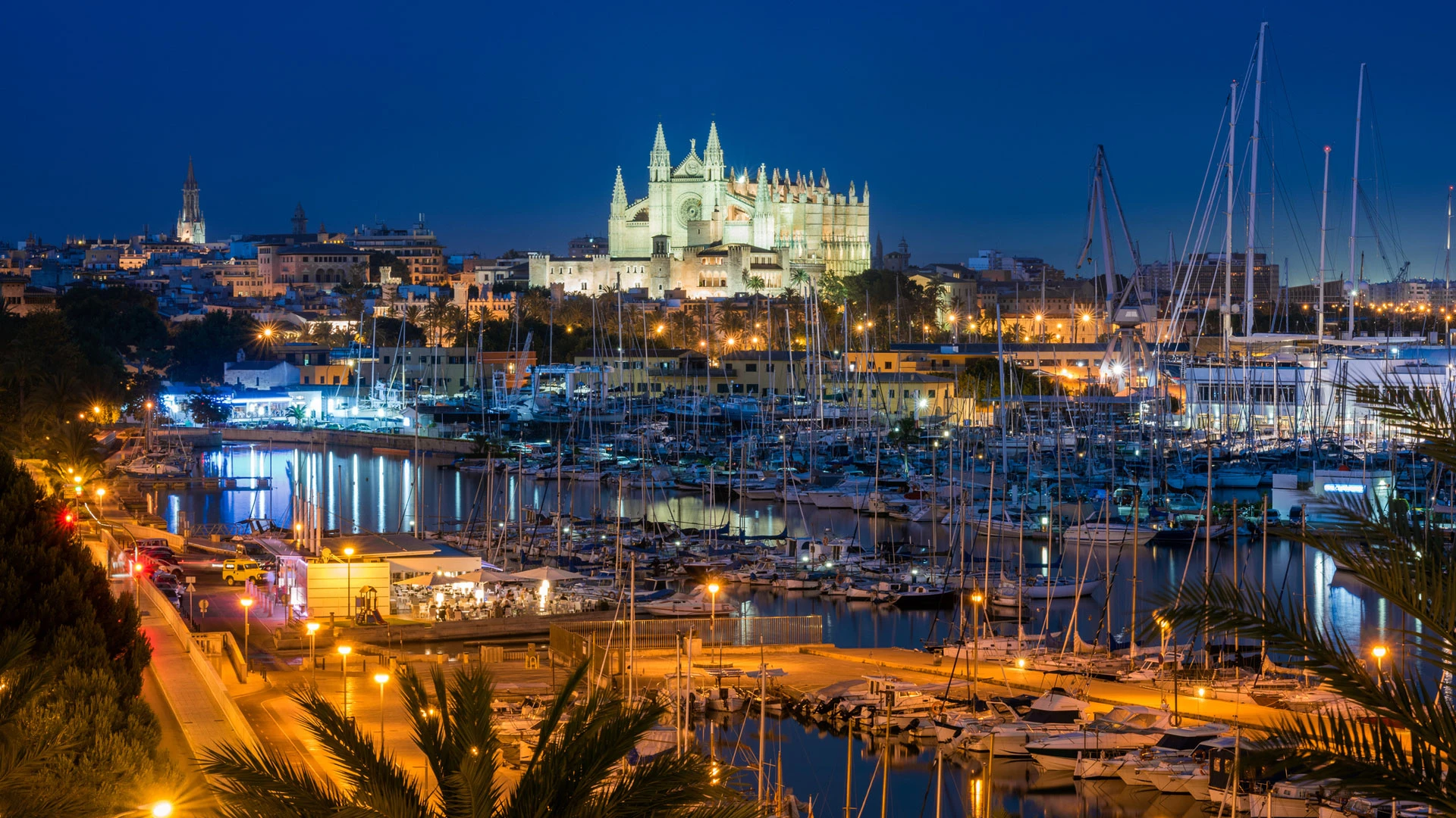 Vivir en Palma centro