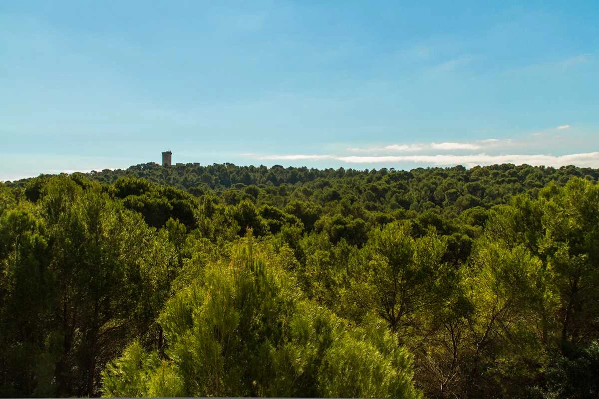 Sa Teulera, oportunidad para vivir en el pulmón verde