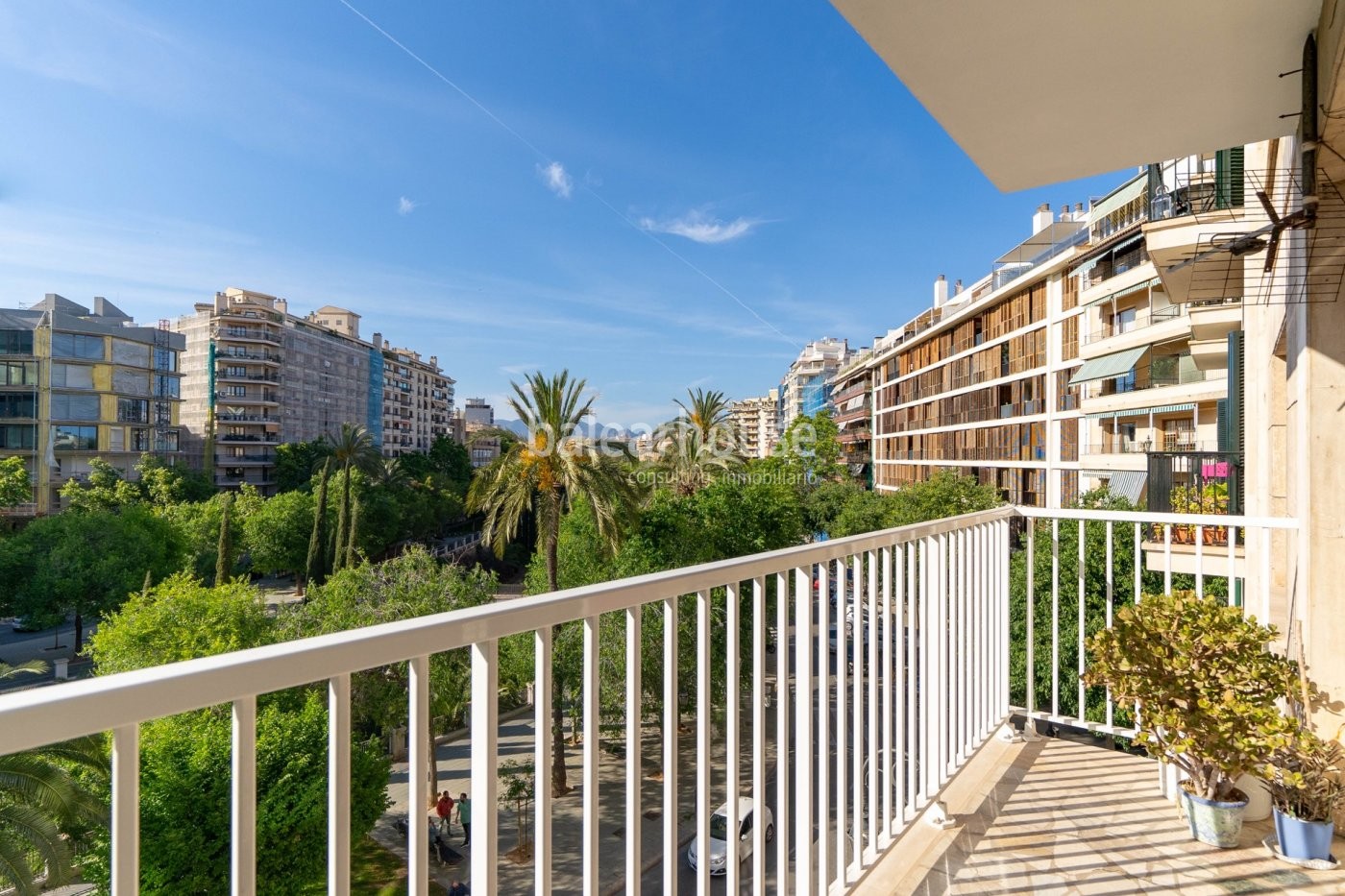 Gran piso perfectamente iluminado y con una ubicación privilegiada dentro del centro de Palma.
