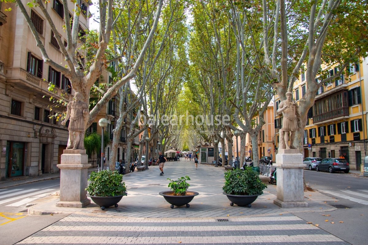 Elegancia contemporánea, calidad y amplitud en este piso perfectamente ubicado en el centro de Palma