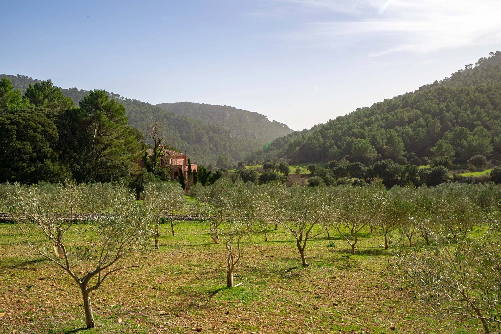 Propiedades con vistas a la montaña en Mallorca