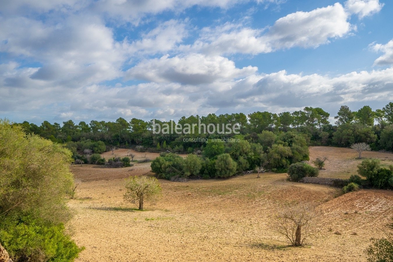 Fantástica finca rústica en el centro de Mallorca rodeada de un gran terreno, luz y verde naturaleza