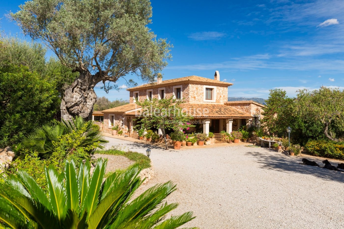 Espléndida finca rústica en Santa Eugenia que aúna tradición mallorquina y modernidad.