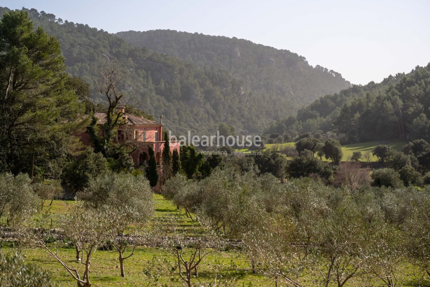 Gran finca en Orient salpicada de campos de olivos dentro del precioso paisaje de la Tramuntana.