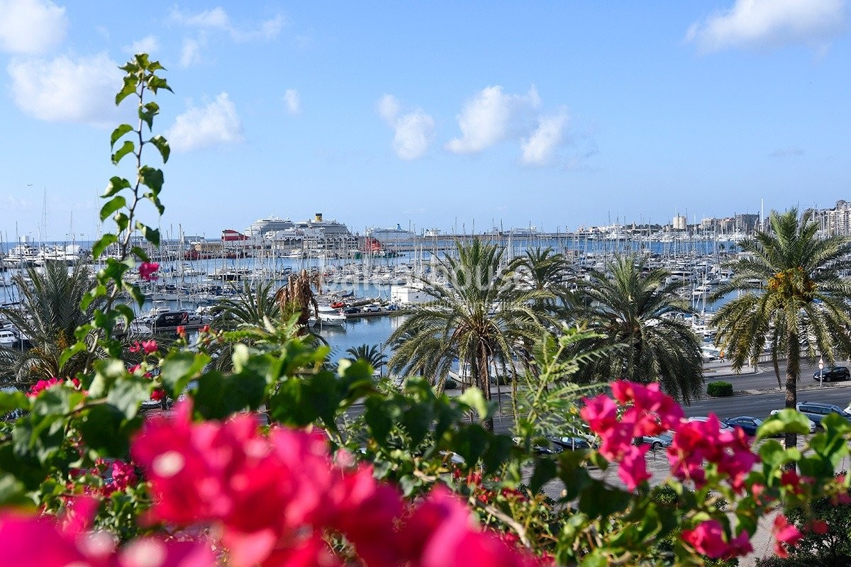 Disfrutar de una casa única en el centro de Palma con piscina privada y privilegiadas vistas al mar.