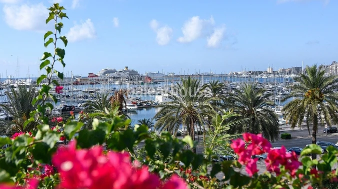 Enjoy a unique house in the centre of Palma with private pool and privileged sea views.