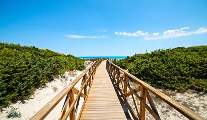 Mallorca, primer puesto en el ranking de los destinos más deseados