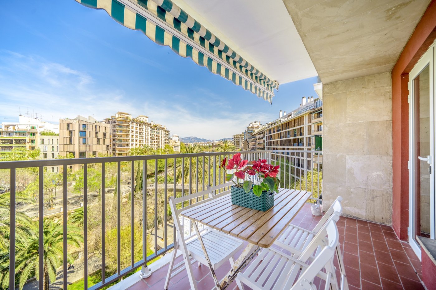 Spektakuläre komplett renovierte Wohnung mit Blick in Paseo Mallorca