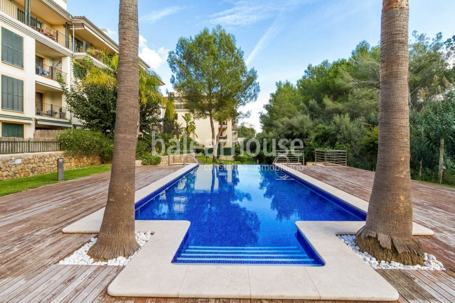 Planta baja en el pulmón verde de Palma