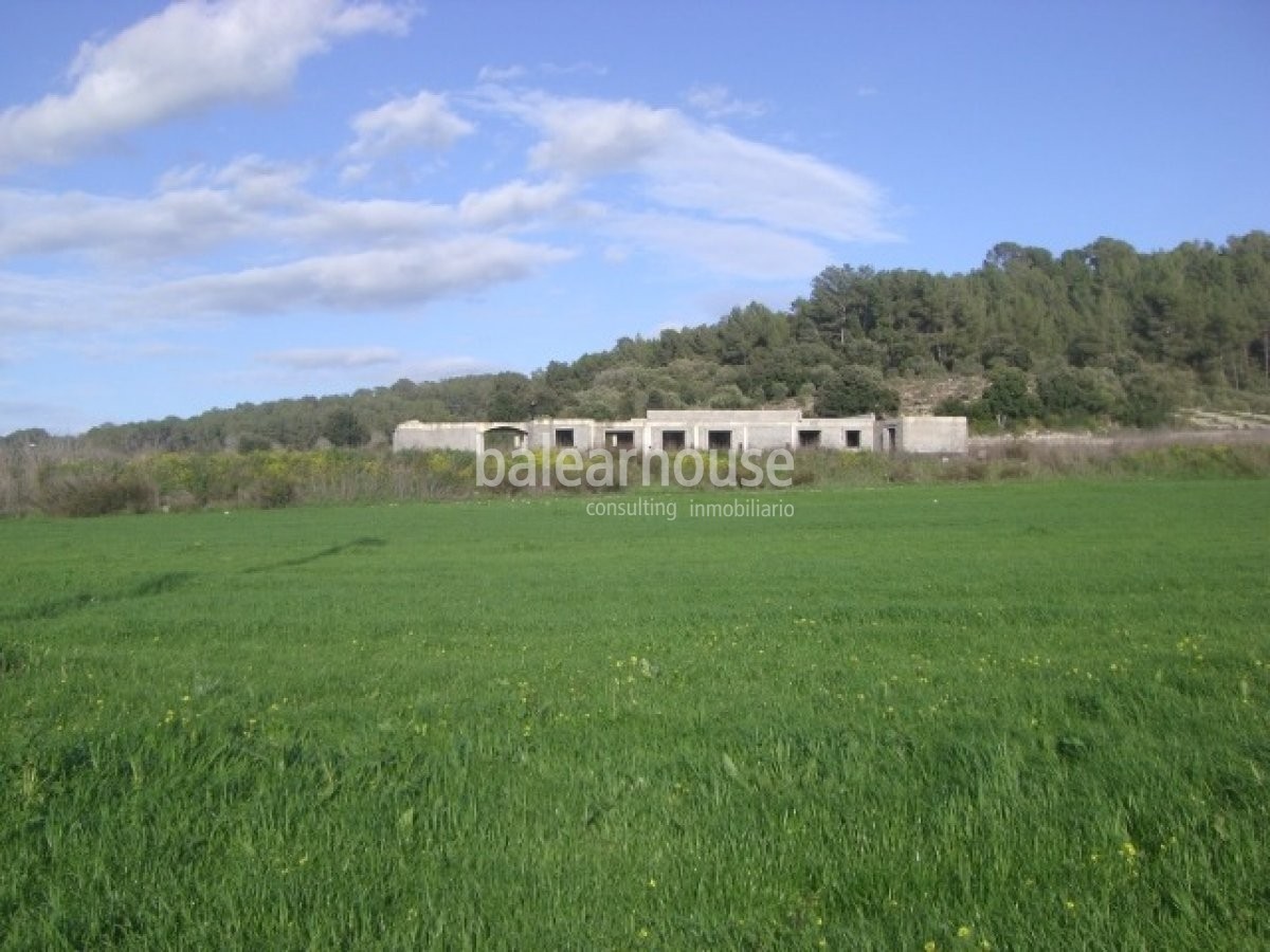 Excepcional terreno en el idílico interior de Mallorca donde construir una gran vivienda.