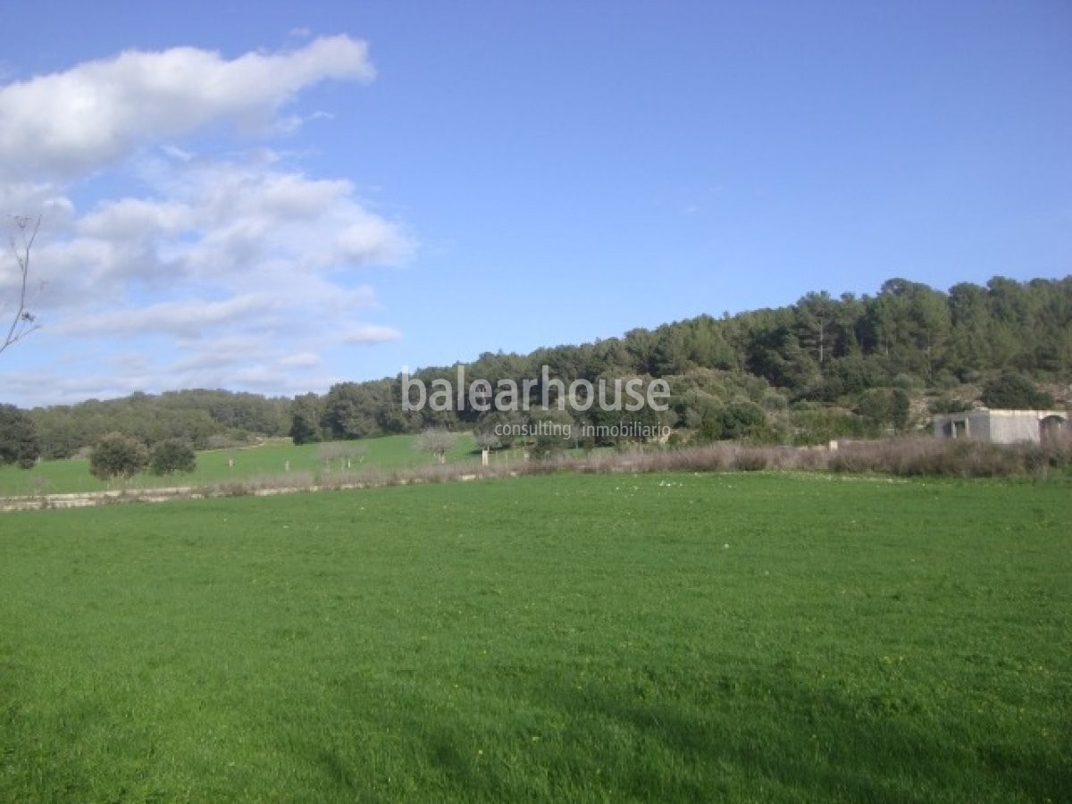 Excepcional terreno en el idílico interior de Mallorca donde construir una gran vivienda.