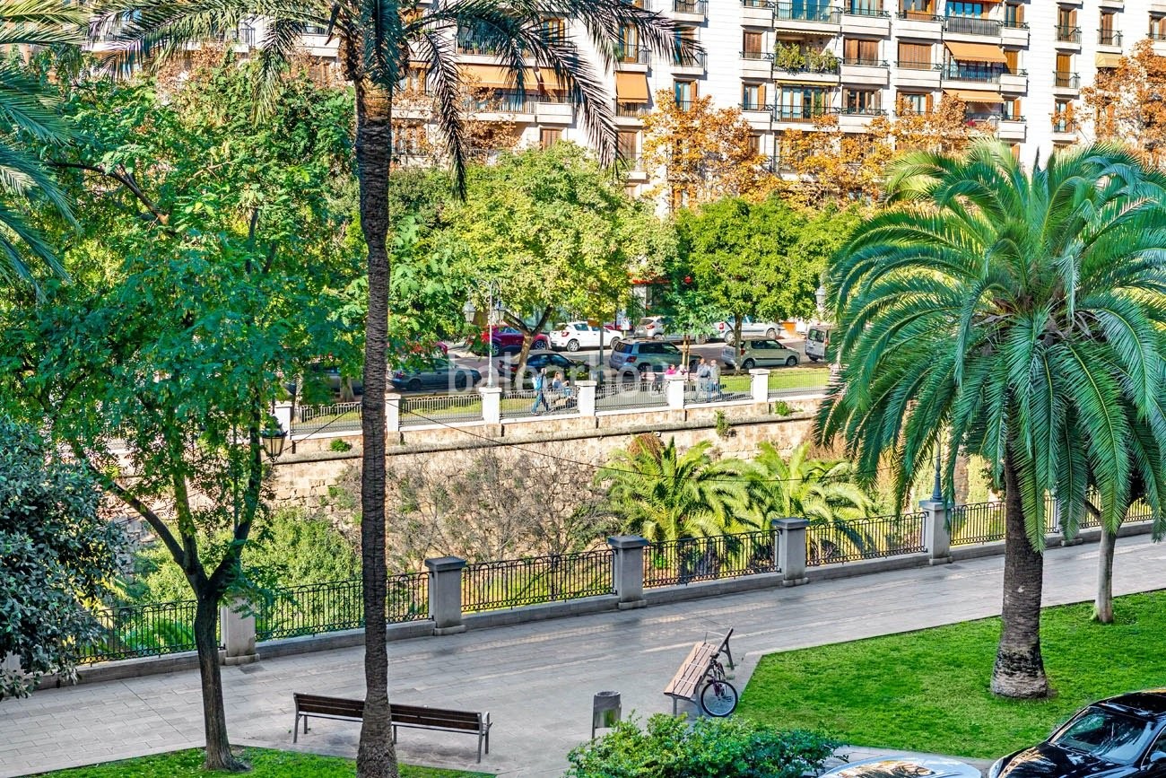Große Wohnung mit viel Licht und freiem Blick im Herzen des Paseo Mallorca in Palma
