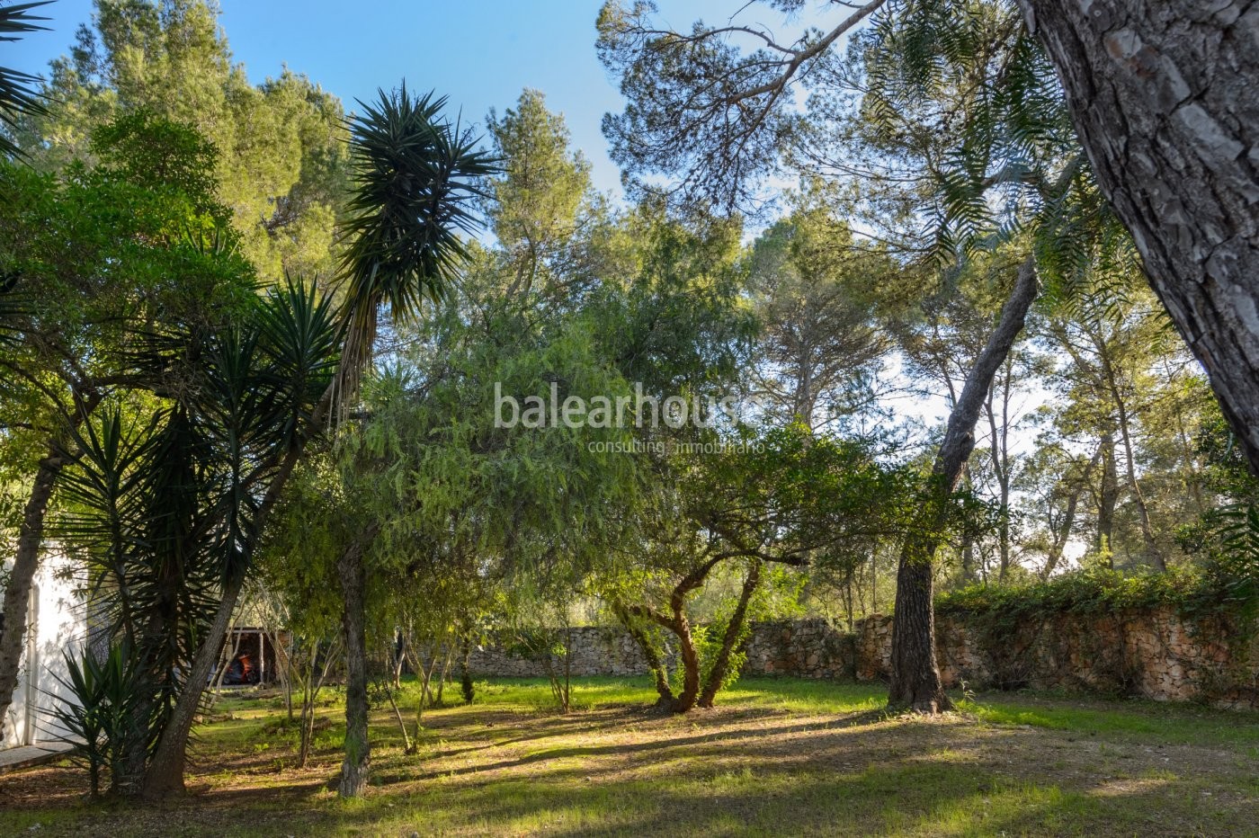 Cozy finca style house renovated in 2010 with rustic style near the city of Ibiza