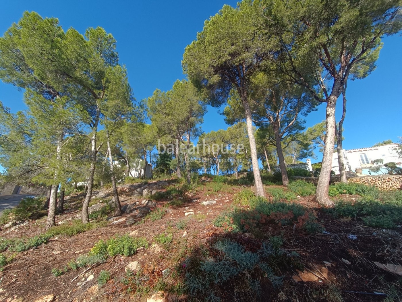Solar con proyecto de villa de lujo con vistas al mar en Puerto de Andratx