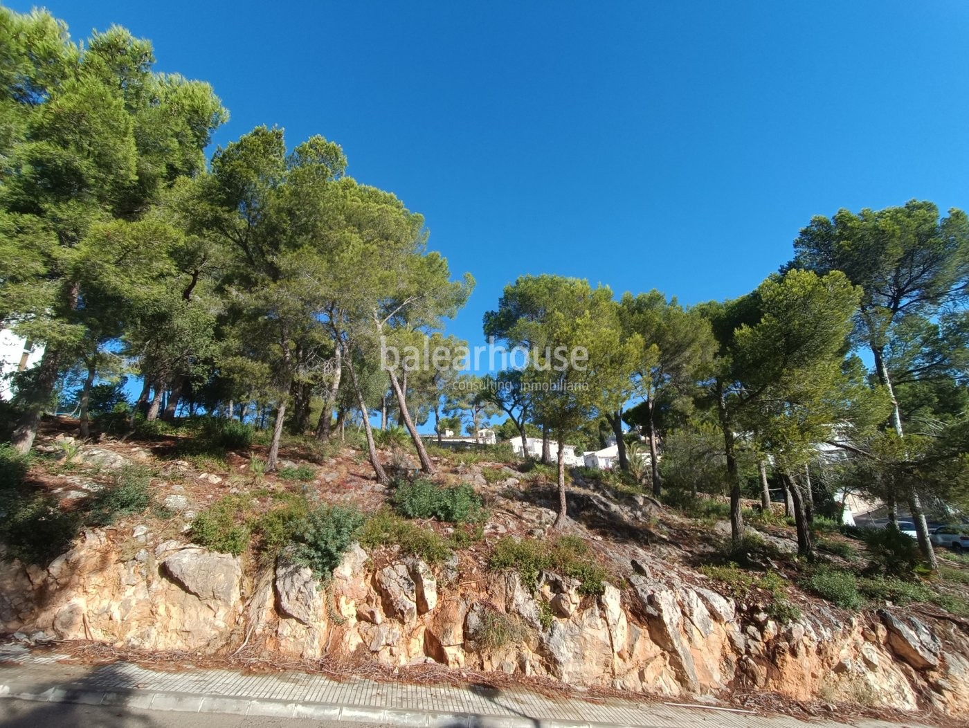 Solar con proyecto de villa de lujo con vistas al mar en Puerto de Andratx