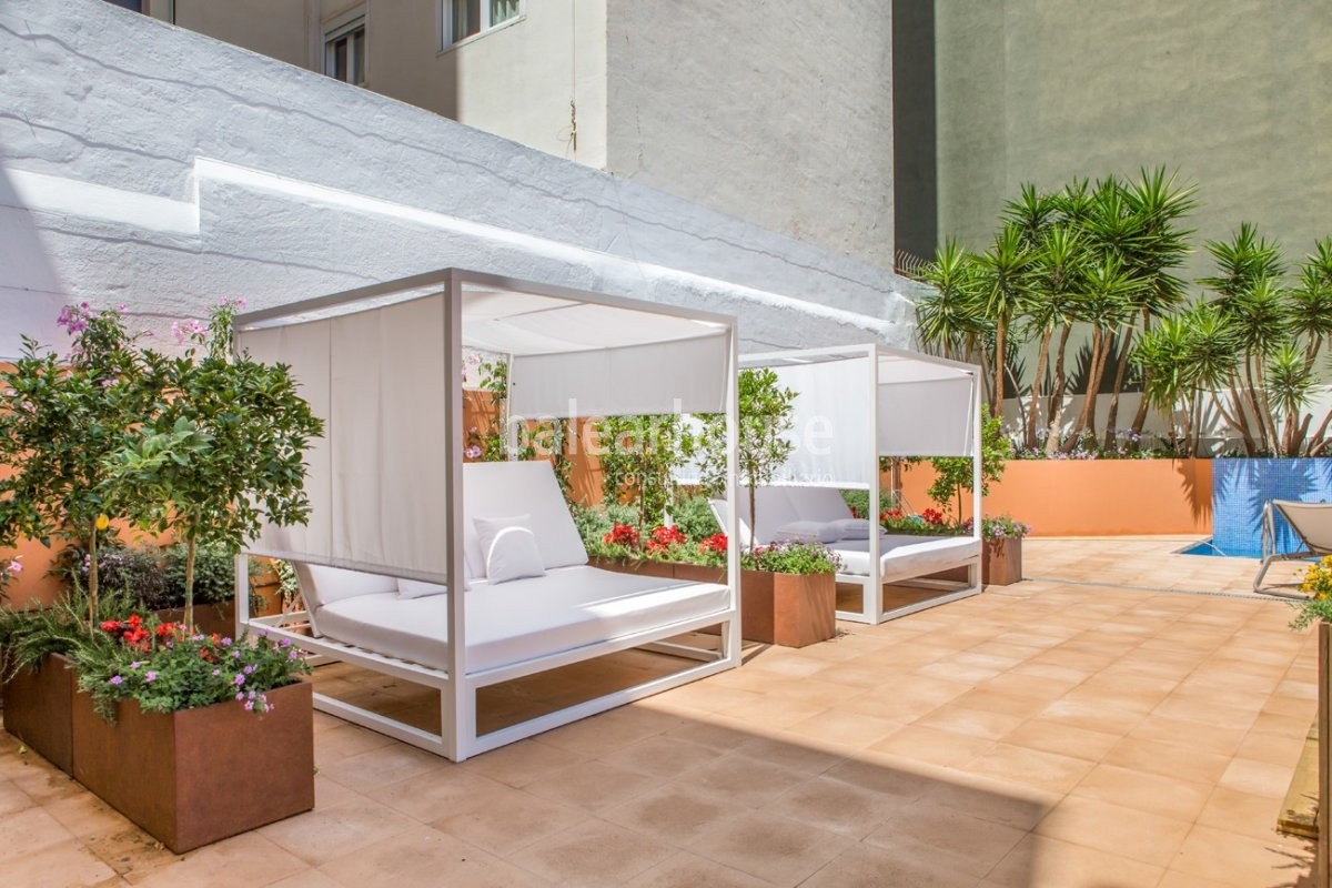 Ausgezeichnete brandneue Penthäuser mit privaten Terrassen und Schwimmbad mit Solarium in Palma.