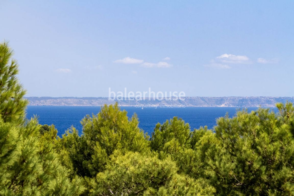 Prächtige Villa in Meeresnähe mit hoher Qualität, Schwimmbad und großem Garten in Cala Vinyes