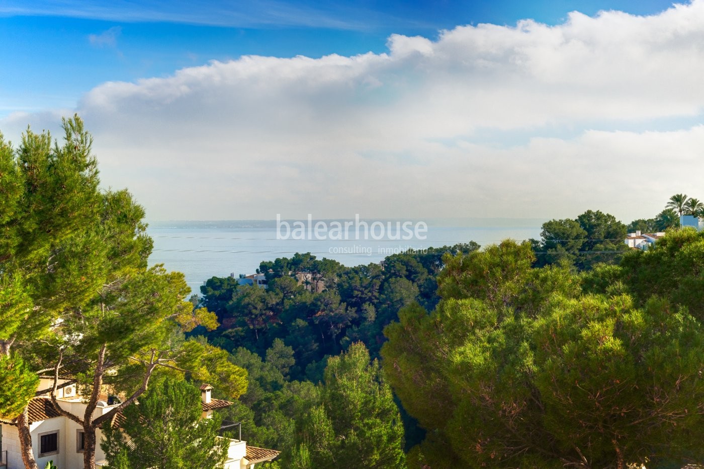 Große Wohnung mit fantastischem Blick auf das Meer und die grüne Umgebung von Cas Catalá.
