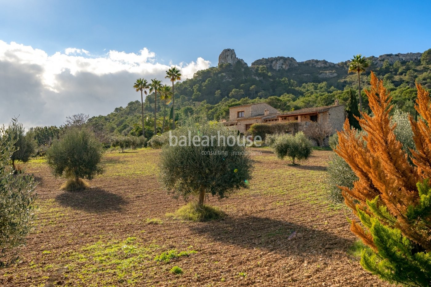 Excellent finca in Son Servera with sea views, terraces, garden, swimming pool and large plot.