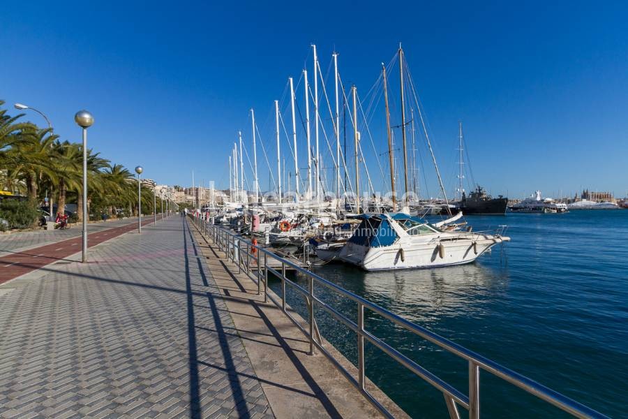 Amplio apartamento totalmente reformado en reconocida comunidad del Paseo Maritimo
