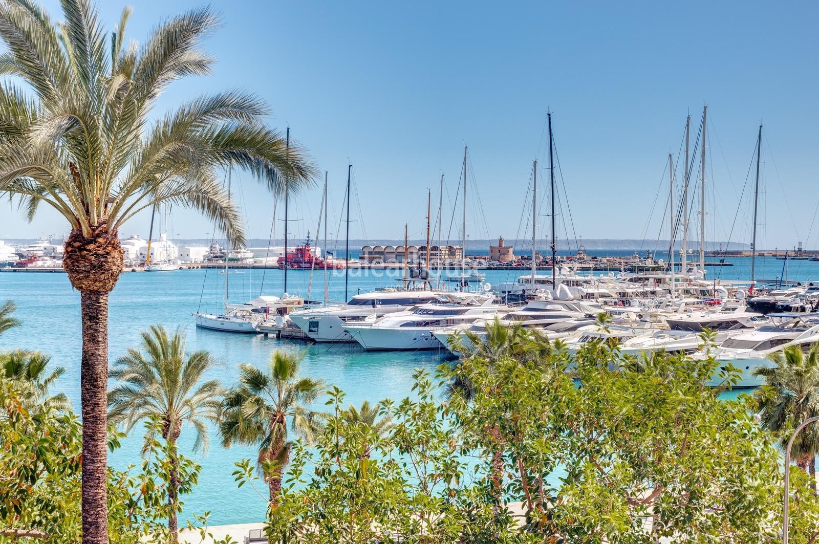 Exclusive new flats on the seafront of Palma where you can live the most contemporary luxury.