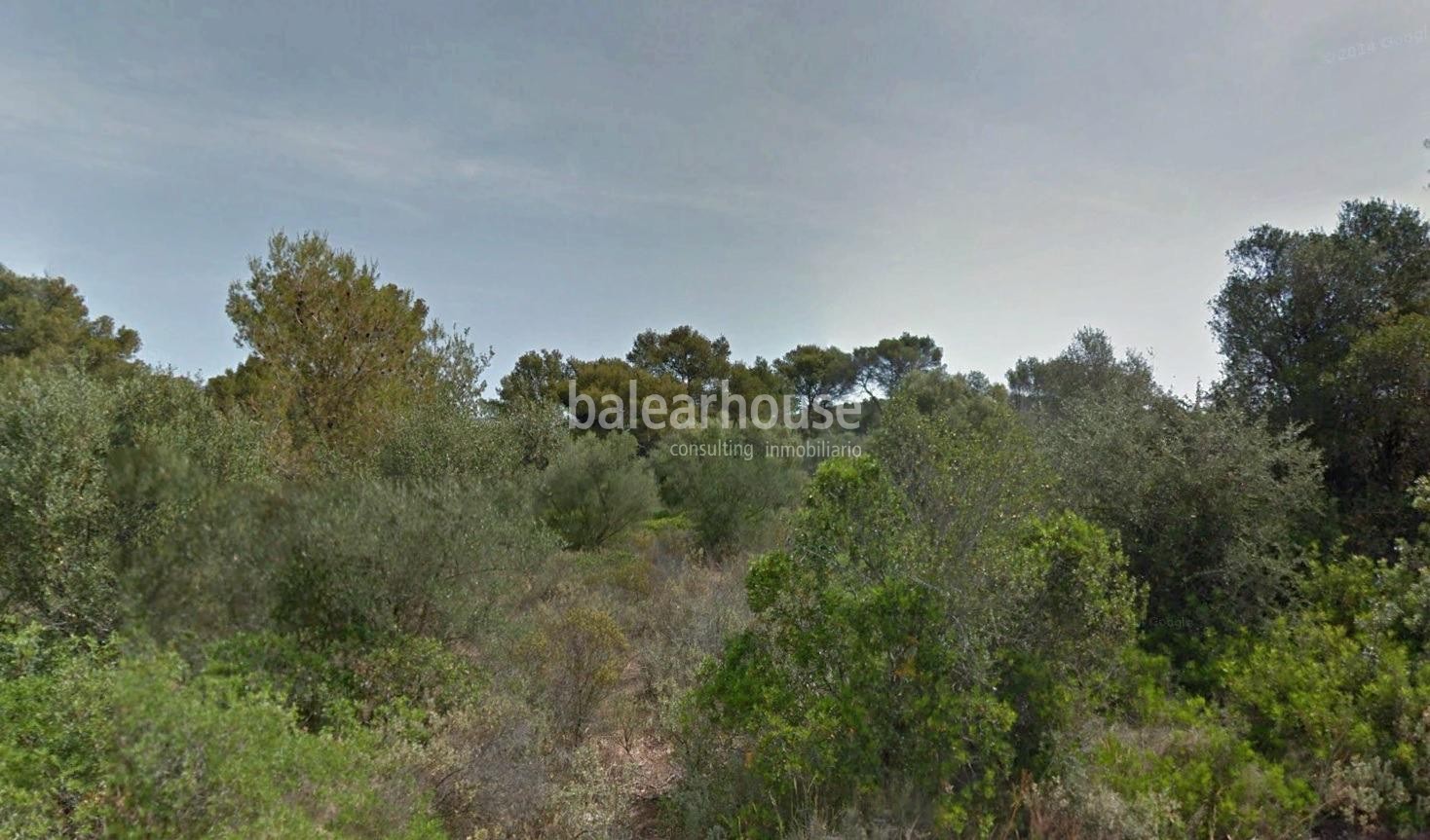 Magnificent plot in the urbanisation of Puntiró with licence and project for a modern detached house