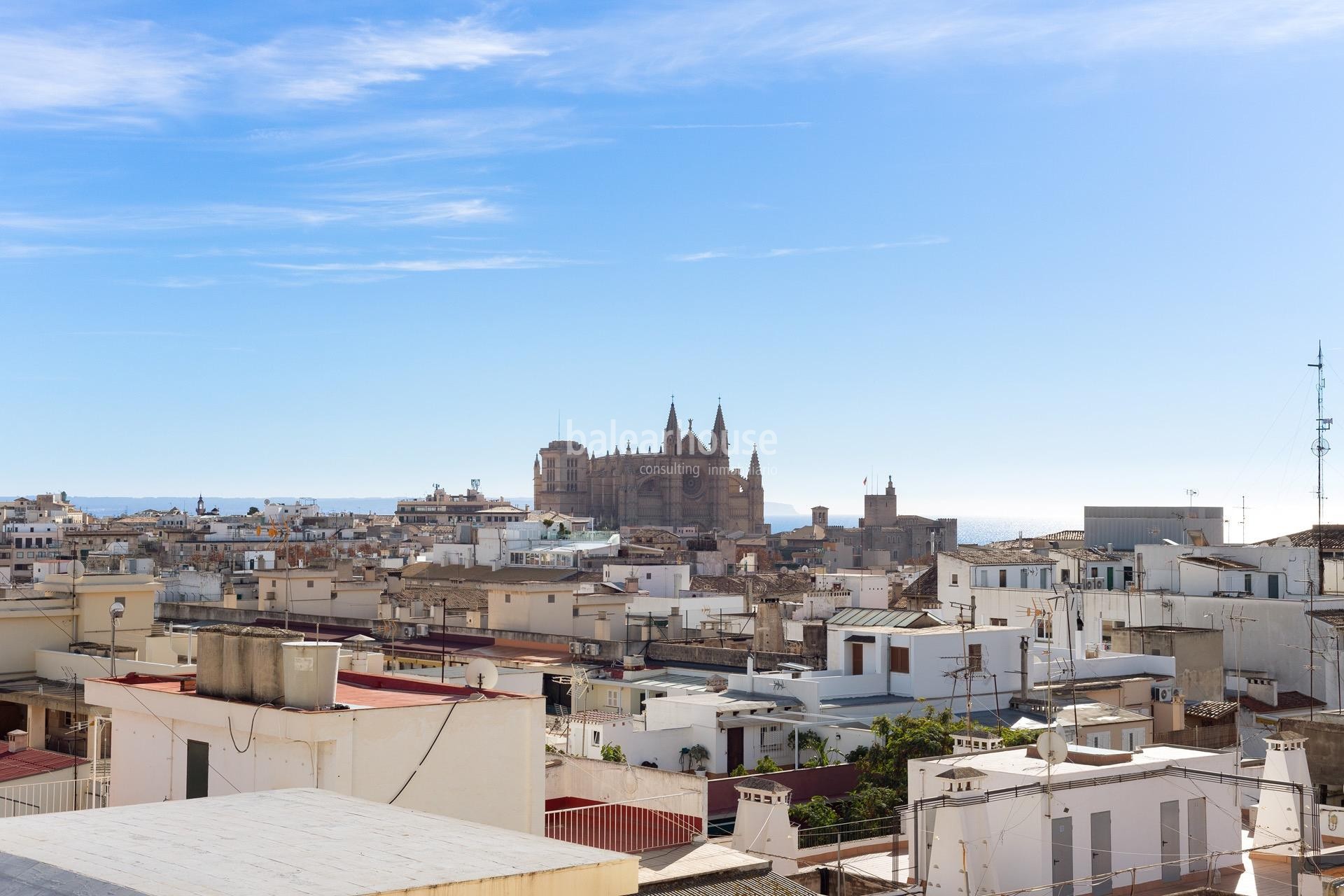 Large light-filled flat with terraces and spectacular views in Paseo Mallorca