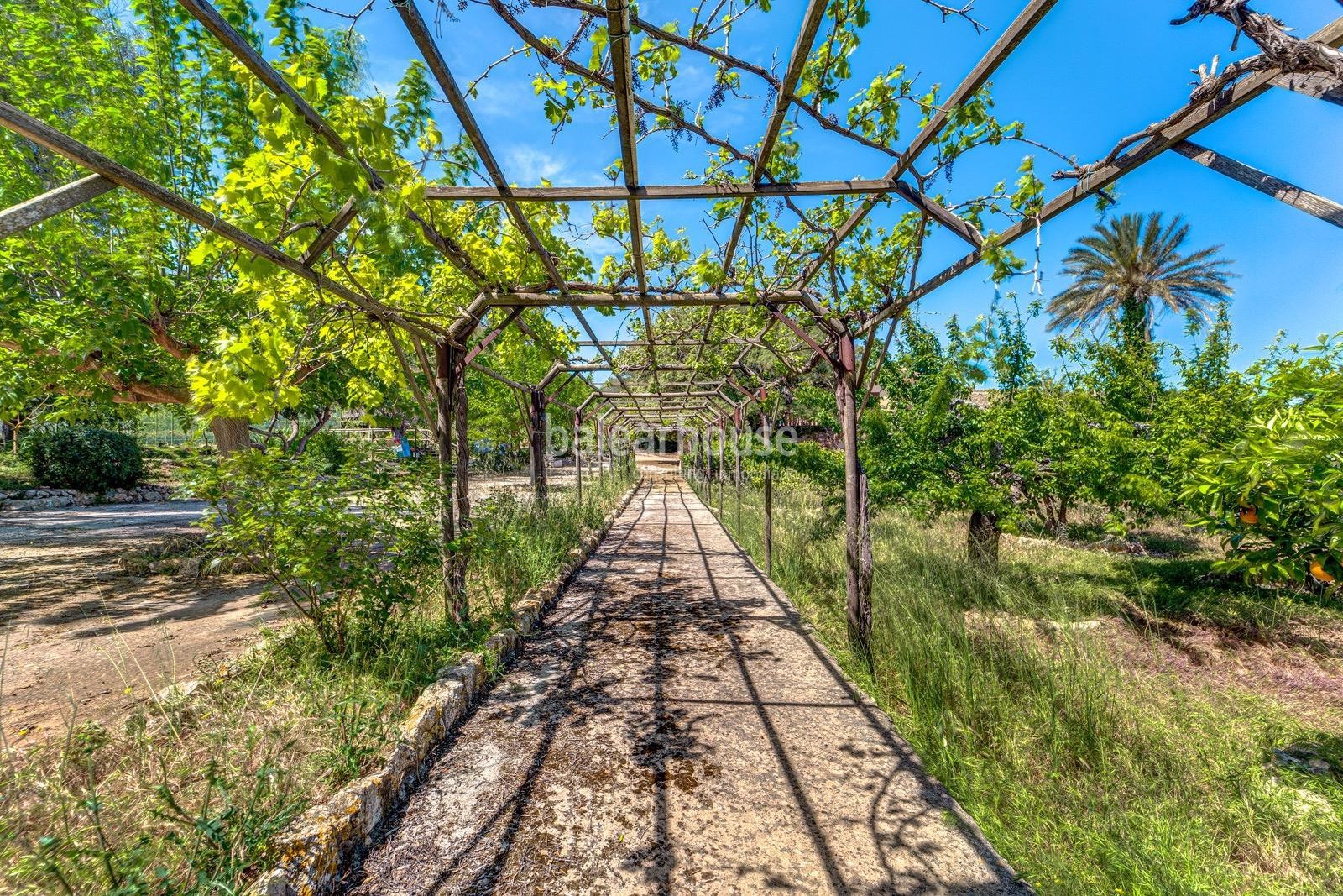 Large finca on a large plot of land with incredible outdoor spaces and very close to beaches.