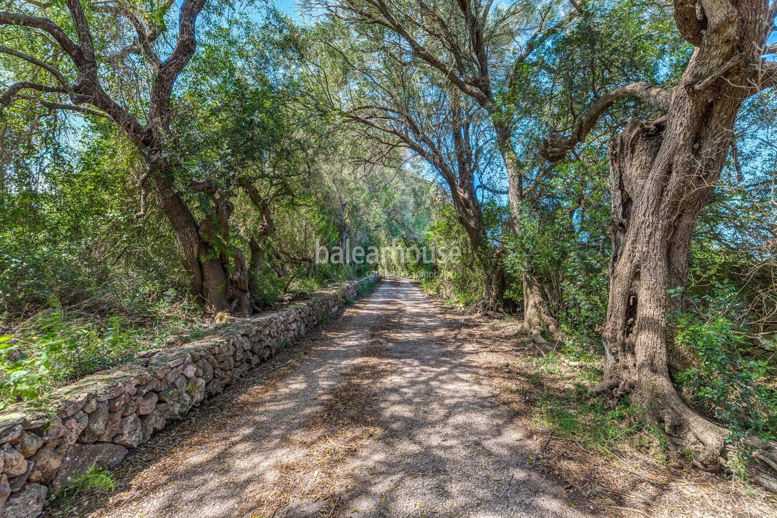 Gran finca dentro de un extenso terreno con increíbles espacios exteriores y muy cerca de playas.