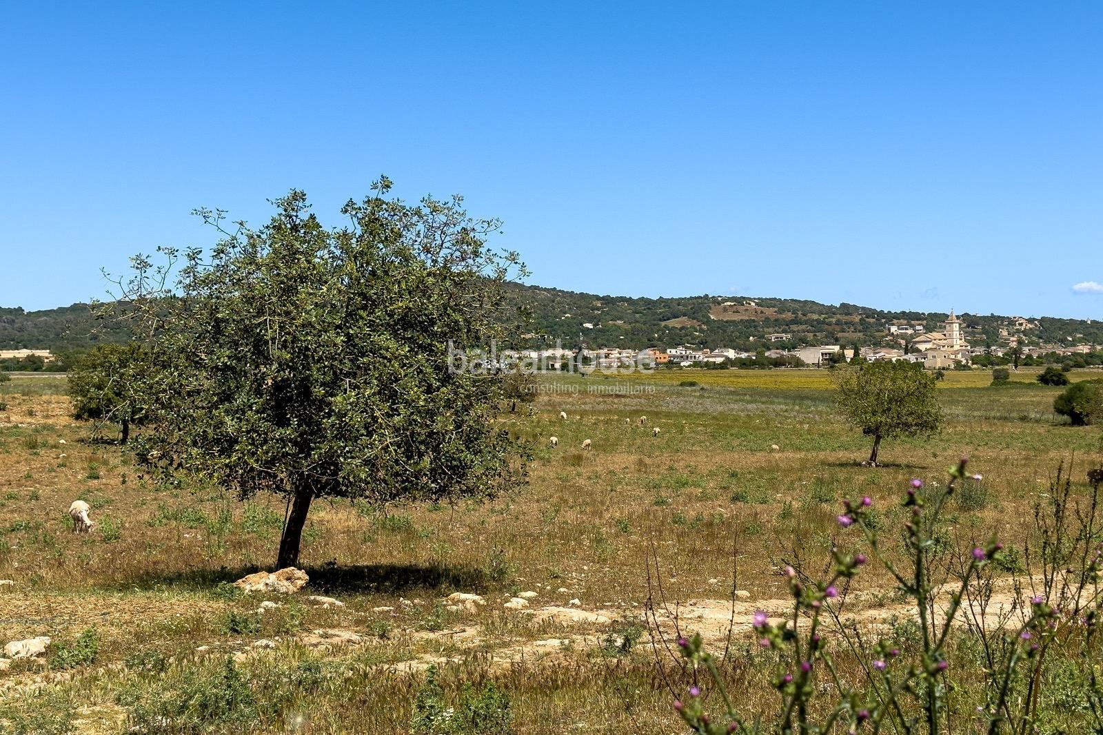 Gran finca dentro de un extenso terreno con increíbles espacios exteriores y muy cerca de playas.