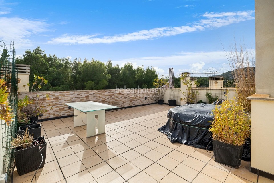 Magnífico ático con terraza y vistas al verde paisaje del Castillo de Bellver