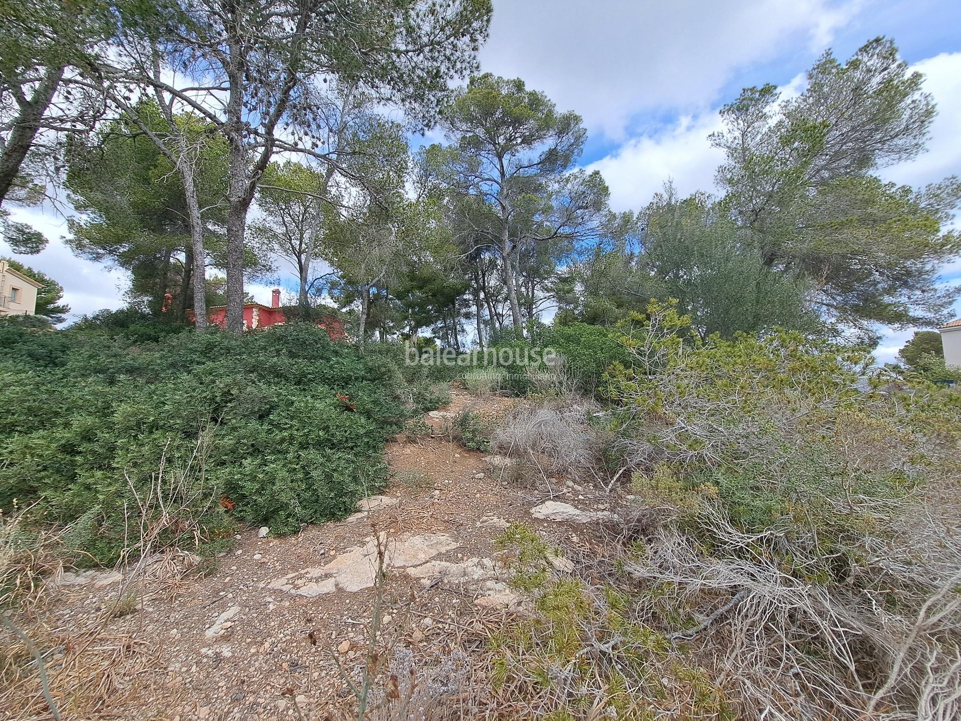 Plot with project for a modern villa with partial sea views in Cala Vinyas