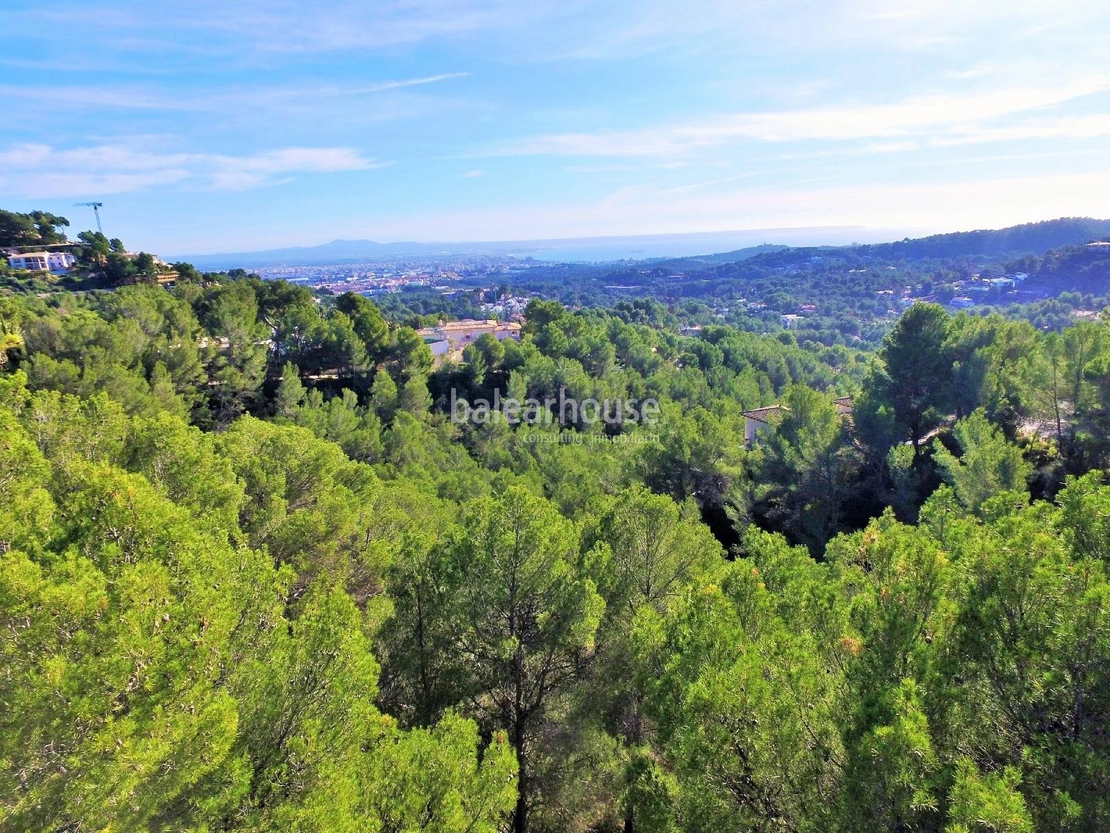 Excelente terreno en Son Vida rodeado de gran zona verde y vistas hasta el mar.