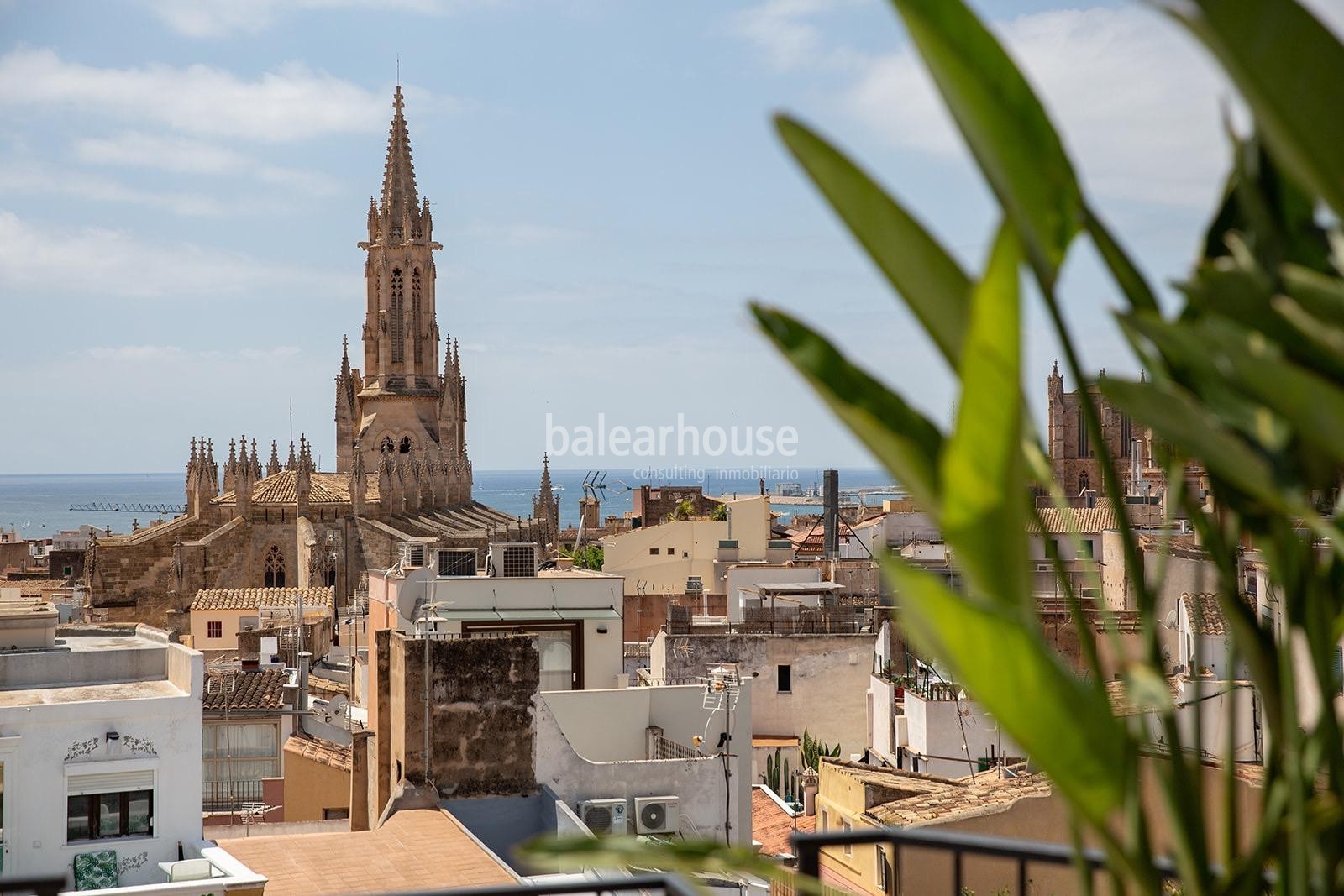 Lujo y vistas al mar en este ático nuevo con solarium y piscina en el casco histórico de Palma