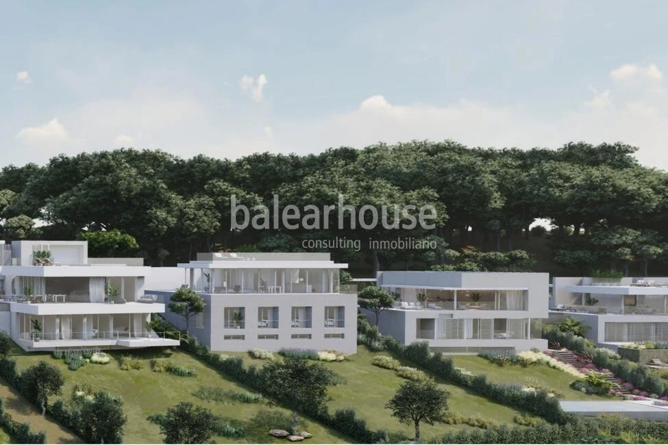 Herrliches Grundstück mit unverbaubarem Meerblick, Lizenz und großem Villenprojekt in Camp de Mar