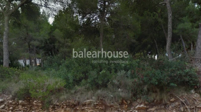 Fantastisches Grundstück in der Küstenregion von Sol de Mallorca zum Bau einer freistehenden Villa