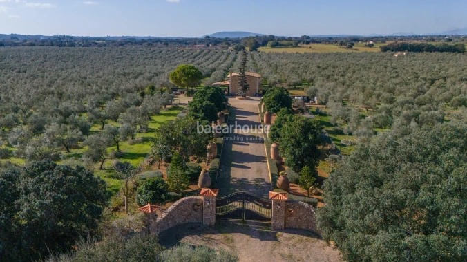 Außergewöhnliche rustikale Finca in Sencelles mit einem großen Grundstück und eigenem Olivenölanbau.