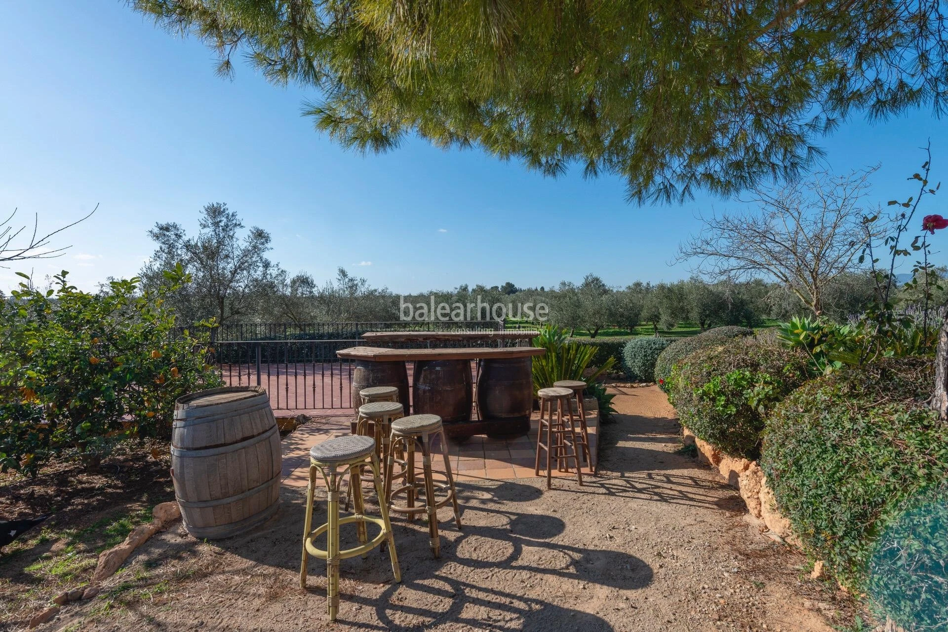 Excepcional finca rústica en Sencelles con un gran terreno y cultivo propio de aceite de oliva