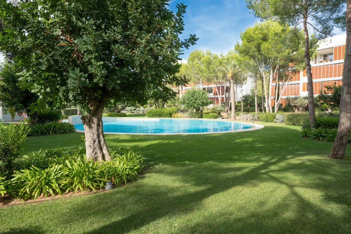 Penthouse in Bendinat with fantastic private solarium
