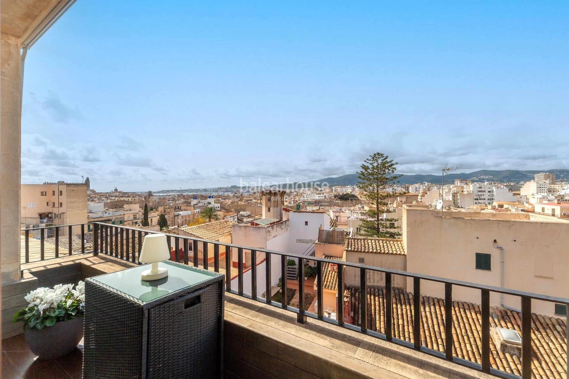 Excellent large apartment in the historic center of Palma with city and sea views