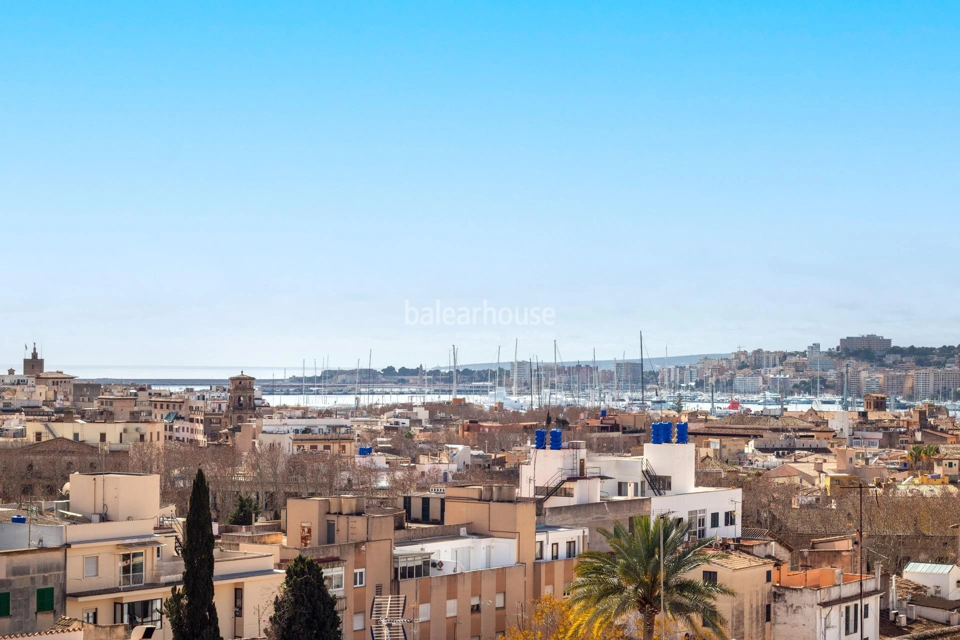 Excellent large apartment in the historic center of Palma with city and sea views
