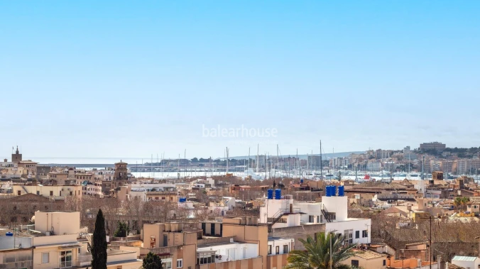 Excellent large apartment in the historic center of Palma with city and sea views