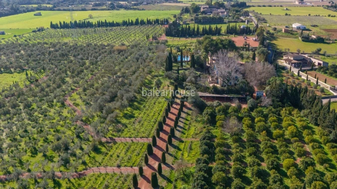 Unique investment opportunity in Mallorca with this spectacular agritourism in Sencelles