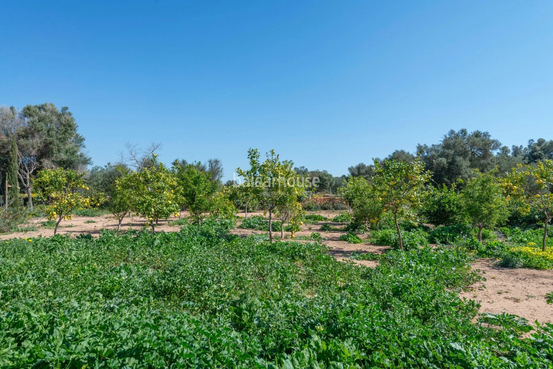 Große neue Finca in rustikalem und modernem Design mit großem Grundstück in Llucmajor